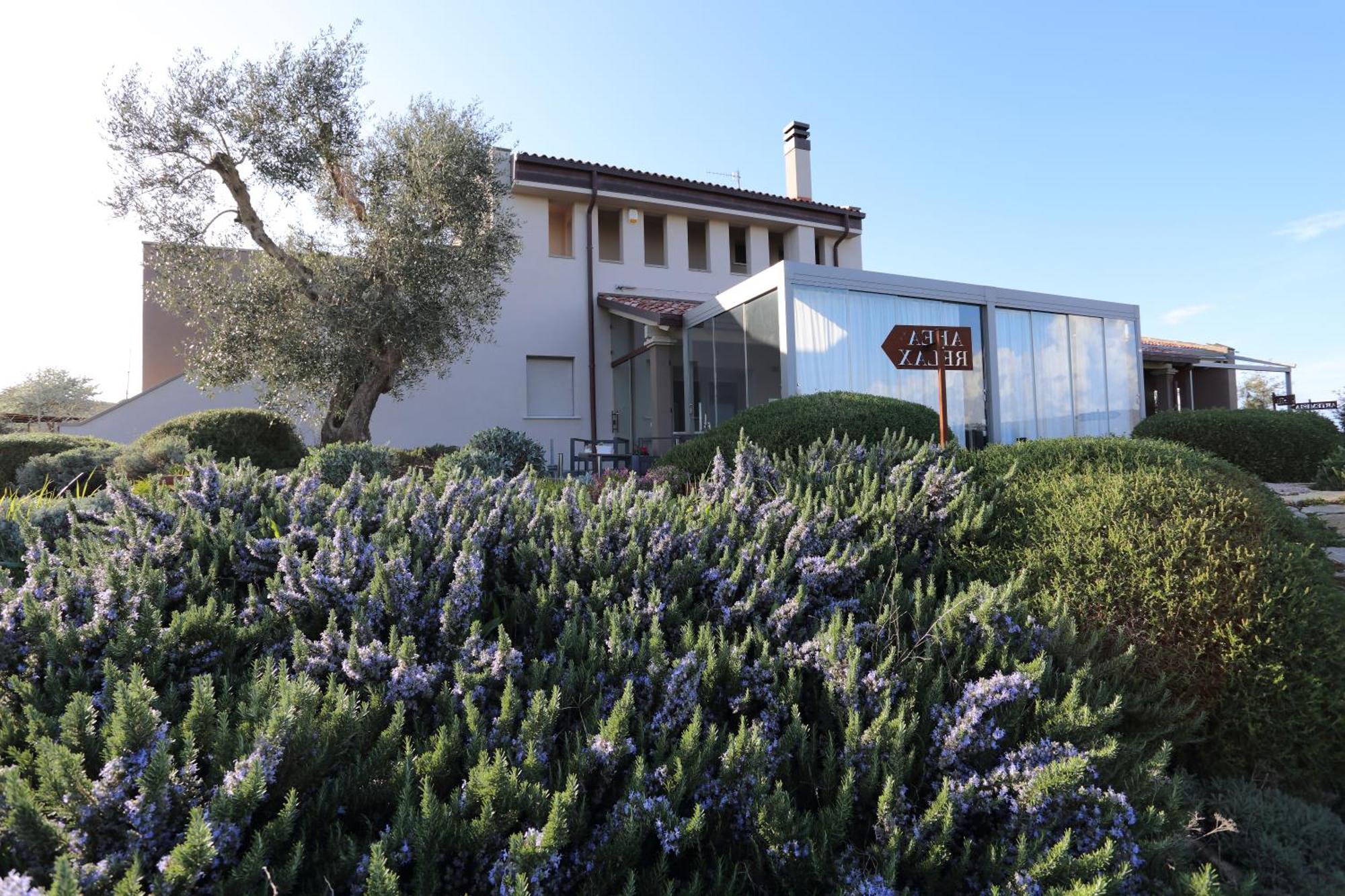 Agriturismo Le Piccole Macie Magliano in Toscana Extérieur photo